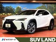 2020 LEXUS UX