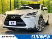 2014 LEXUS NX