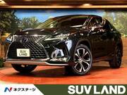 2020 LEXUS RX