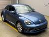 VOLKSWAGEN THE BEETLE