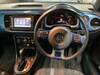 VOLKSWAGEN THE BEETLE