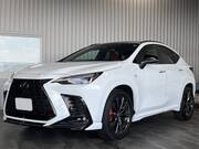 2024 LEXUS NX