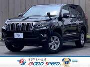 2021 TOYOTA LAND CRUISER PRADO TX