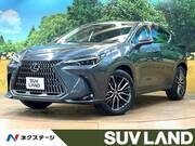 2022 LEXUS NX