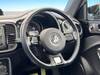 VOLKSWAGEN THE BEETLE