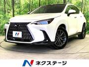 2024 LEXUS NX