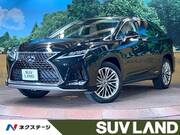 2020 LEXUS RX
