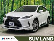 2019 LEXUS RX