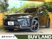 2021 LEXUS UX