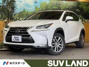 2017 LEXUS NX
