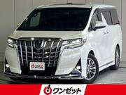 2019 TOYOTA ALPHARD