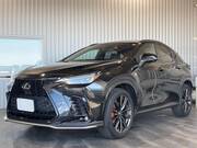 2022 LEXUS NX