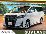 2019 TOYOTA ALPHARD HYBRID