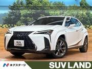 2019 LEXUS UX