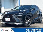 2019 LEXUS NX