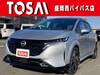 NISSAN OTHER