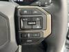 TOYOTA LANDCRUISER 250