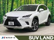 2018 LEXUS NX