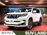 2023 TOYOTA LAND CRUISER PRADO