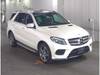 MERCEDES BENZ GLE