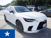 2024 LEXUS RX
