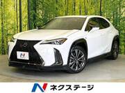 2019 LEXUS UX