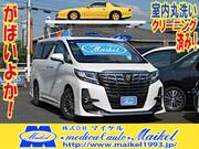 2017 TOYOTA ALPHARD