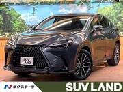 2023 LEXUS NX
