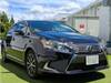 LEXUS HS