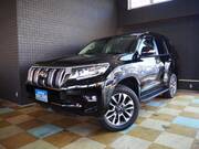 2022 TOYOTA LAND CRUISER PRADO