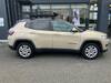 CHRYSLER JEEP COMPASS