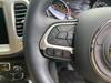 CHRYSLER JEEP COMPASS
