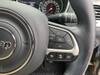 CHRYSLER JEEP COMPASS