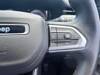 CHRYSLER JEEP COMPASS