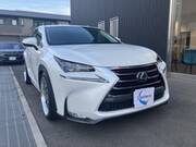 2014 LEXUS NX