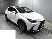 2025 LEXUS NX