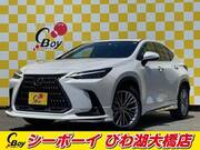 2023 LEXUS NX
