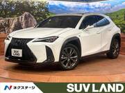 2020 LEXUS UX