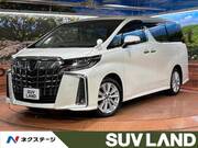 2019 TOYOTA ALPHARD