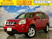 2013 NISSAN X-TRAIL