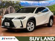 2020 LEXUS UX