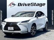 2015 LEXUS NX
