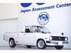 NISSAN SUNNY TRUCK