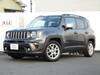 CHRYSLER JEEP RENEGADE