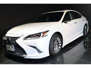 2019 LEXUS ES
