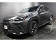 2023 LEXUS NX