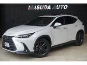 2022 LEXUS NX