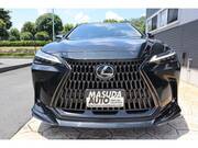 2023 LEXUS NX