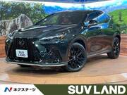 2024 LEXUS NX