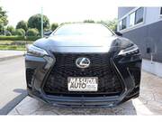 2025 LEXUS NX